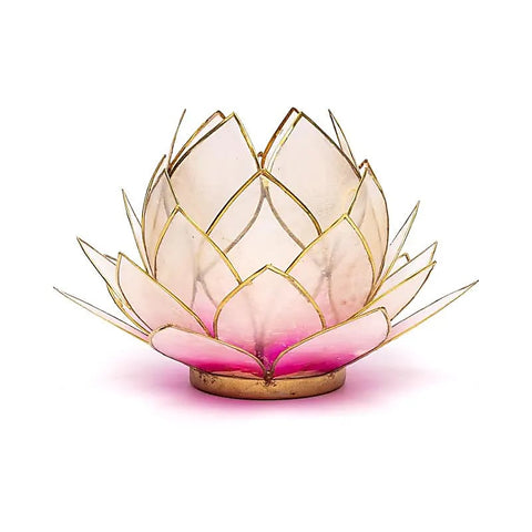 Lotus sfeerlicht roze/lichtroze gouden rand groot