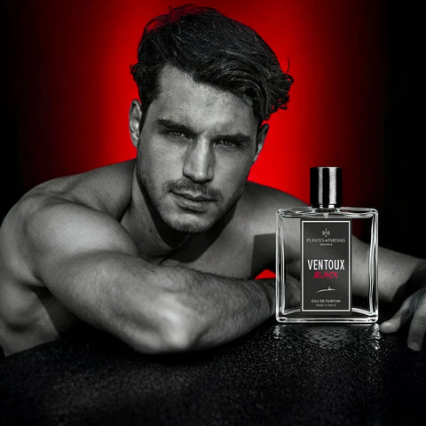 Ventoux Black eau de parfum 100 ml - Plantes & Parfum