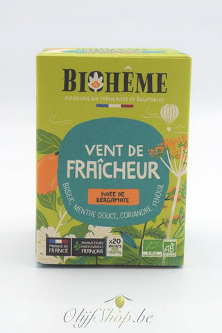 Biologische infusie met munt