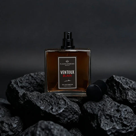 Ventoux Black eau de parfum 100 ml - Plantes & Parfum