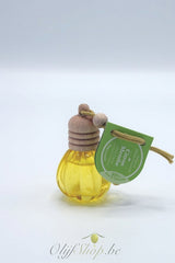 Diffuser met essentiële munt en citroenolie 10 ml