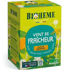 Biologische infusie met munt