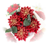 Geurboeket Kerst · Bloemig & kruidig