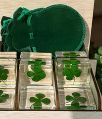Klavertje vier plexi glas groen zakje